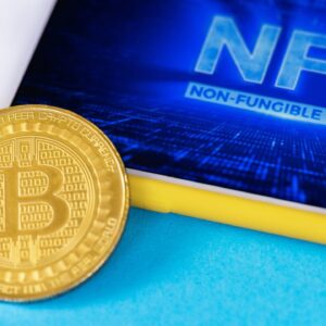 Crypto Vs NFT Understanding the Differences